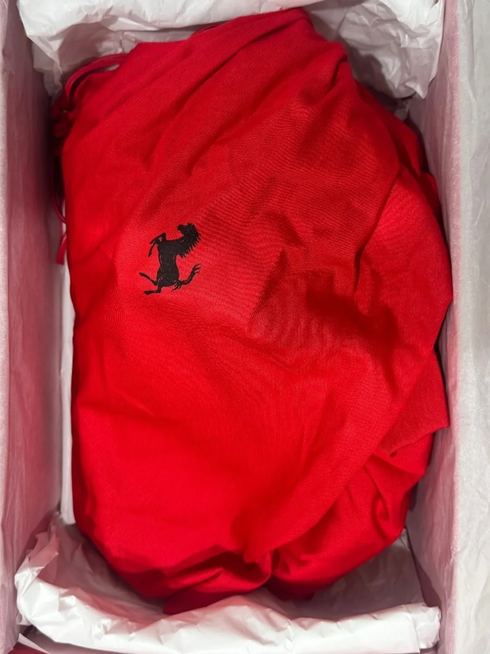 Ferrari Driver Loafers (Mens)